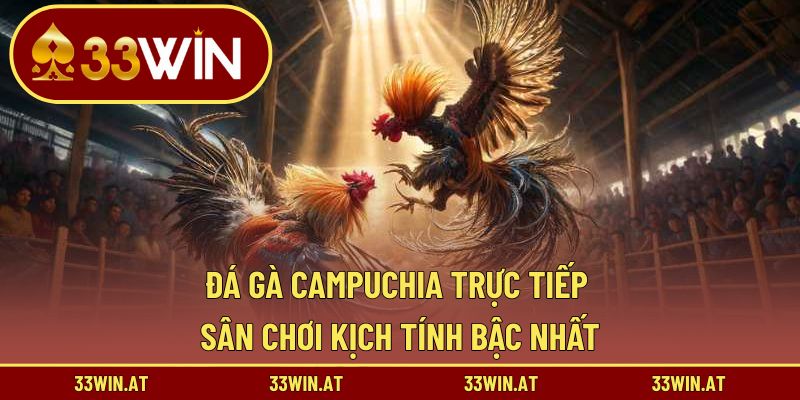 đá gà campuchia trực tiếp