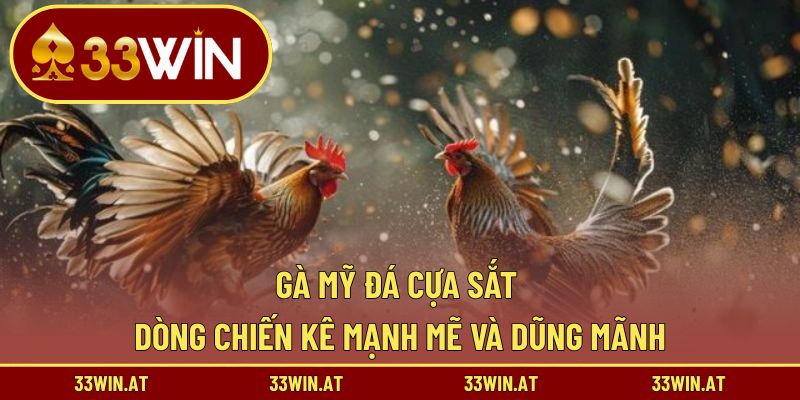 Gà Mỹ Đá Cựa Sắt