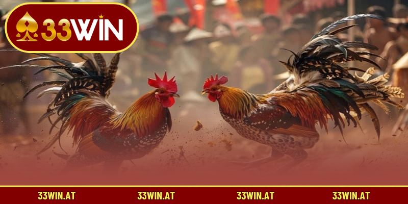 Những hình thức đá gà được ưa chuộng nhất tại 33WIN
