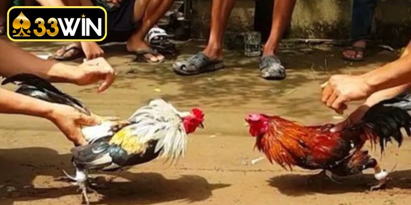 Phương pháp đặt cược dựa trên quy chế chơi