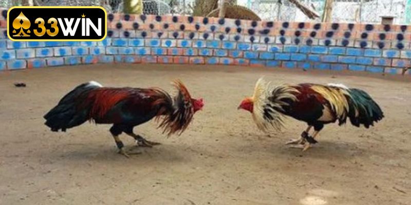 Phương pháp phân tích chiến kê chuẩn xác